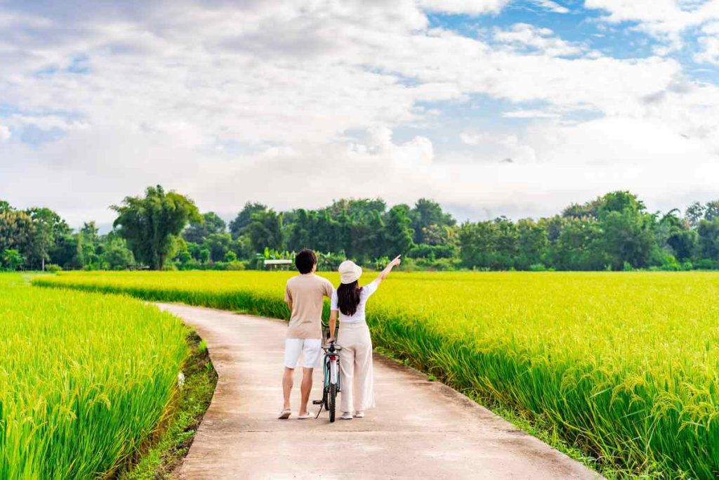 Explore Koh Yao Noi by motorbike or bicycle