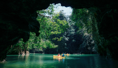 Explore grottoes and coves by kayak.