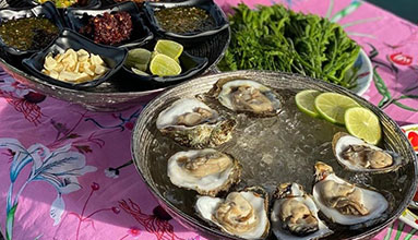 Taste the freshness of an oyster farm.